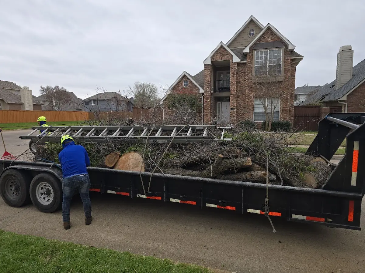 Expert Lot Clearing with proper safety equipment in Patrick